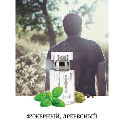 Мужской парфюм essence. 031 Эссенс духи мужские. Духи Эссенс 031. Мужские зимние ароматы Эссенс. 033 Эссенс духи мужские.